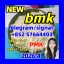 2022 bmk powder cas 5449-12-7 bmk glycidate acid in stock
