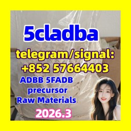 5cl-adb 5cladba 5cl-adb- Quick home