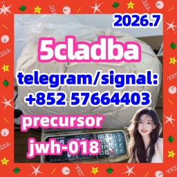 5cladba 5cl yellow powder 5cladba from best supplier