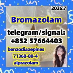 CAS:71368-80-4 Bromazolam
