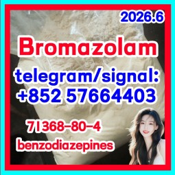 CAS:71368-80-4 Bromazolam
