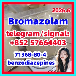High Purity 99% Bromazolom CAS 71368-80-4 with Best Price