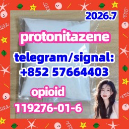 CAS 119276-01-6 Protonitazene