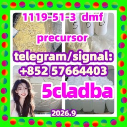 5cladba 5cl 5cladba 5fadb adbb precursors