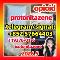 Protonitazene (hydrochloride) CAS 119276-01-6