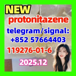 High Quality 119276-01-6 Protonitazene (hydrochloride) High Quality 119276-01-6 Protonitazene (hydrochloride)