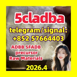 5cladba raw material 5CL-ADB-A precursor raw 5cladba 5f adb