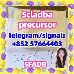5f abd 5cladba powder 5cl-adb-a