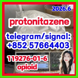 119276-01-6 Protonitazene hydrochloride  opioid analgesia and sedative