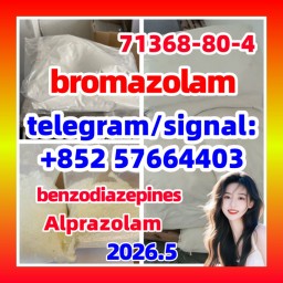 CAS:71368-80-4 Bromazolam 现货