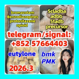5cladba PMK opioid eutylone benzodiazepines bmk protonitazene bromazolam raw materials