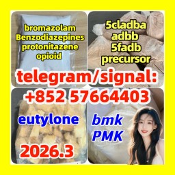 5cladba PMK opioid eutylone benzodiazepines bmk bromazolam protonitazene raw materials
