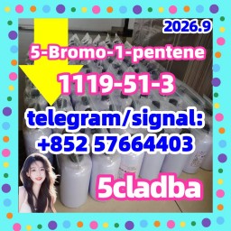 5-Bromo-1-pentene CAS 1119-51-3