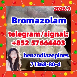 Cas 71368-80-4 Bromazolam 99.8%