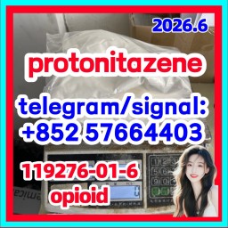 High quality CAS:119276-01-6 Protonitazene (hydrochloride)