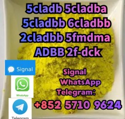5CL-ADB-A powder 5-cl-adb-a Research Chemical Powders 5cladba 5CL-ADB-A powder 5-cl-adb-a Research Chemical Powders 5cladba