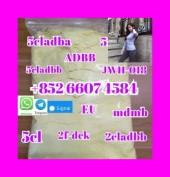 Adbb, 5cladba, 5cladb, Adb-butinaca, Precursor Raw Materials China Supplier