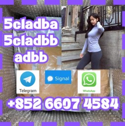 Raw materials 5cl-adb supplier 5cladba 5cladb vendor