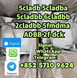 5cladba 5cladba Yellow Cannabinoid Powder 5CL-ADB-A 5f-adb 5fadb