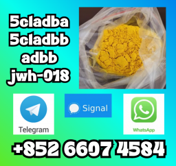 Raw materials 5cl-adb supplier 5cladba 5cladb vendor