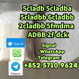 5cladba,5CLADBA,5cl,5ck-adb-a,yellow Powder,high Quality,99%