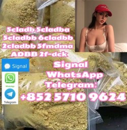 Premium 5cladba 5cladbbADBB 5cl 6clyellow Powder : Quick Ship