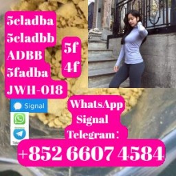 Strong 5CLADBA 5FADB supplier Moon5cl Chart by 5cladba adbb 5fadb 5f-adb 5cladb