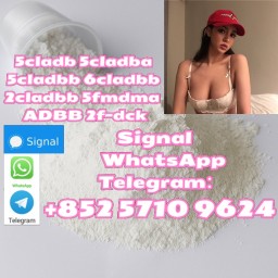Potent Pure 5cladba 5cladbbADBB 5cl 6clyellow Powder : Ship