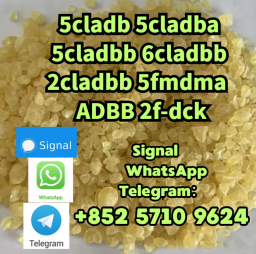 5CL-ADB-A powder 5-cl-adb-a Research Chemical Powders 5cladba 5CL-ADB-A powder 5-cl-adb-a Research Chemical Powders 5cladba