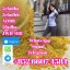 Low price yellow powder 5cladba 5cladbb