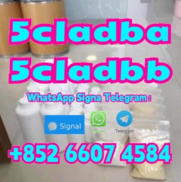 5fadb 5cladba 5cladba adbb 5cladba 5fadba 4fadba