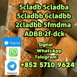 5CL-ADB-A powder 5-cl-adb-a Research Chemical Powders 5cladba