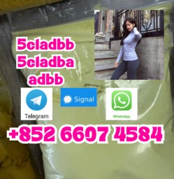 buy 5cl 5cladba precursor yellow powder best supplier
