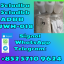 Adbb, 5c, 5cladba, 5cladb, 5cl-adb-a With Low Price And Fast Delivery