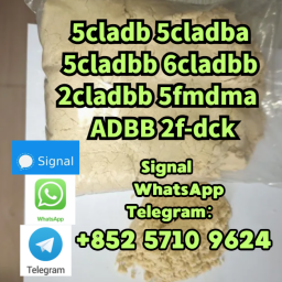 5CL-ADB-A powder 5-cl-adb-a Research Chemical Powders 5cladba