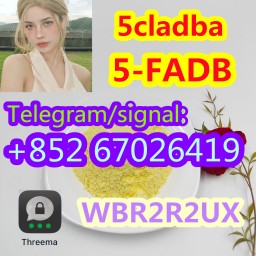 5cladba precursor powder 5cl adbb powder,5cladba precursor powder 5cl adbb powder