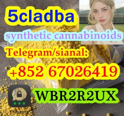 5cladba precursor adbb powder 5fadb raw material