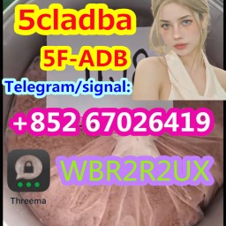 5cladba raw material 5CL-ADB-A precursor raw 5cladba 5f adb 4fadb