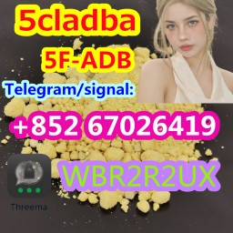 5CL-ADB-A 5CLADBA 5F-ADB APCP A-PHP Protonitazene Brazilian Eutylone Molly PMS BMK BDO 3-MMC 3-CMC 4