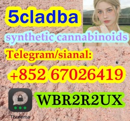 Protonitazene hydrochloride CAS 119276 01 6 CAS 119276 01 6