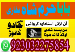 authentic amil baba canada kala jadu expert england usa famous amil baba america