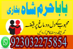 authentic amil baba canada kala jadu expert england usa famous amil baba america