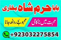 authentic amil baba canada kala jadu expert england usa famous amil baba america