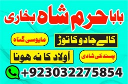 authentic amil baba canada kala jadu expert england usa famous amil baba america