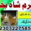 d3 amil baba in saudia arab amil baba in uk amil baba in usa amil baba in uae amil baba in dubai 19