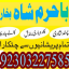 authentic amil baba canada kala jadu expert england usa famous amil baba america 1