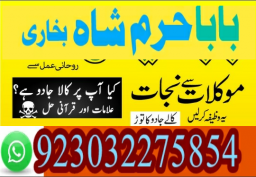 authentic amil baba canada kala jadu expert england usa famous amil baba america