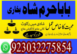 authentic amil baba canada kala jadu expert england usa famous amil baba america