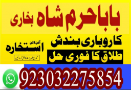 authentic amil baba canada kala jadu expert england usa famous amil baba america