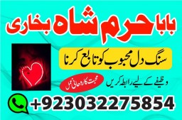authentic amil baba canada kala jadu expert england usa famous amil baba america